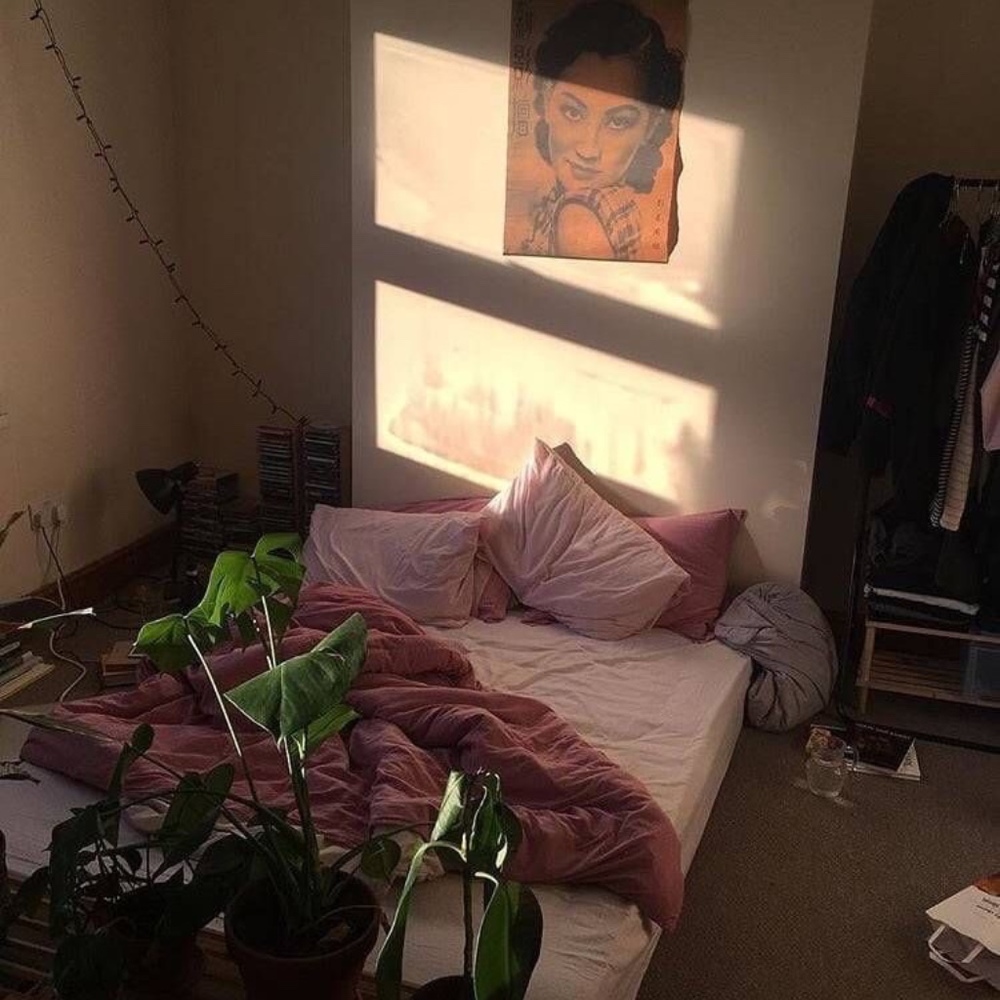 Meet your Posher, Jazmine